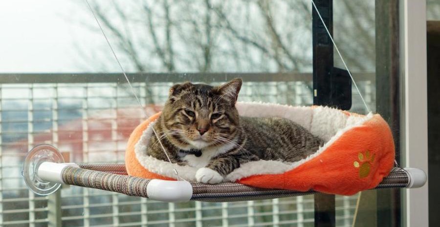 kitty cot window perch