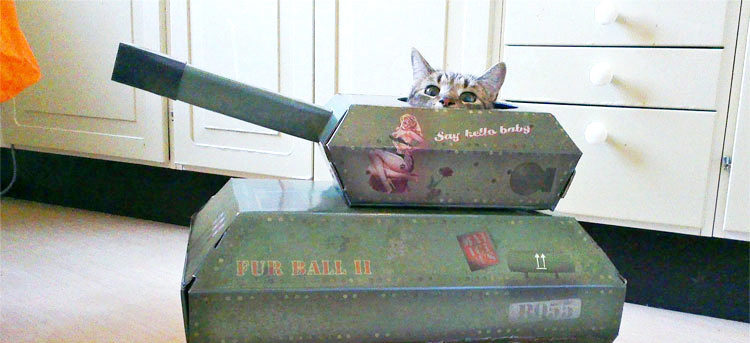 cat in a tank playhouse