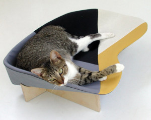 modern cat bed