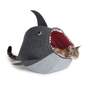 shark cat bed