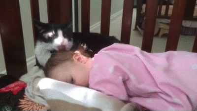 Cat grooms a baby 