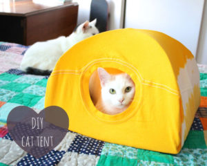 T shirt cat tent
