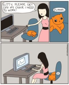 cat lover comic