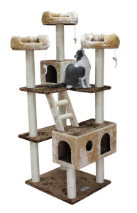 cat mansion