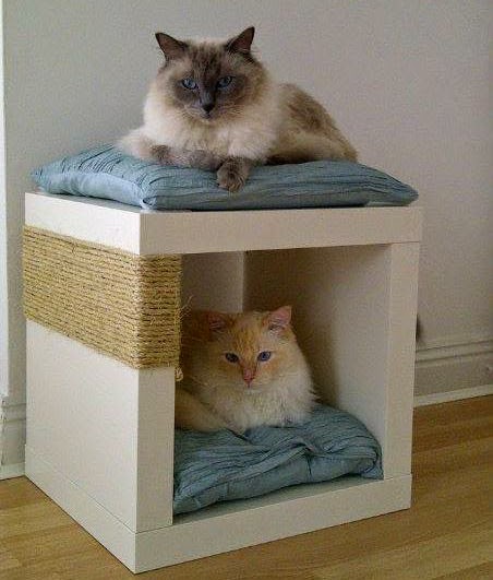 cat hideaway hack