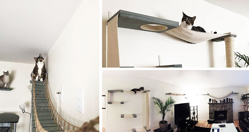 diy cat hammock wall