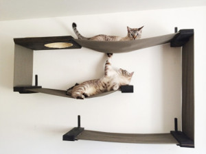 diy cat hammock wall