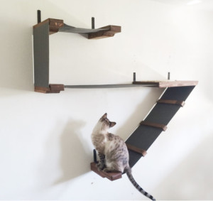 cc hammock ladder