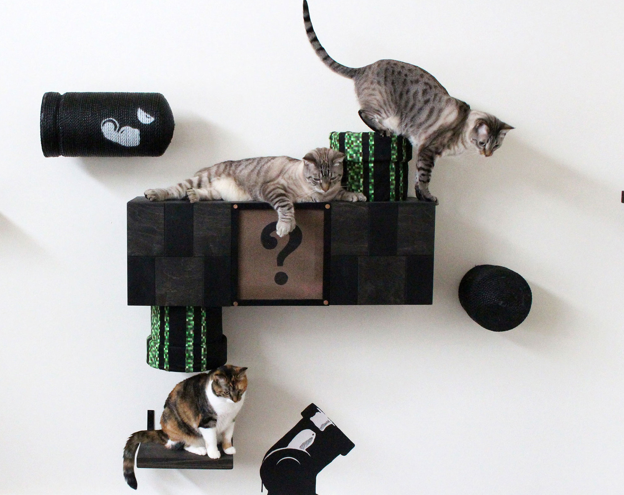 entertainment for cats home alone