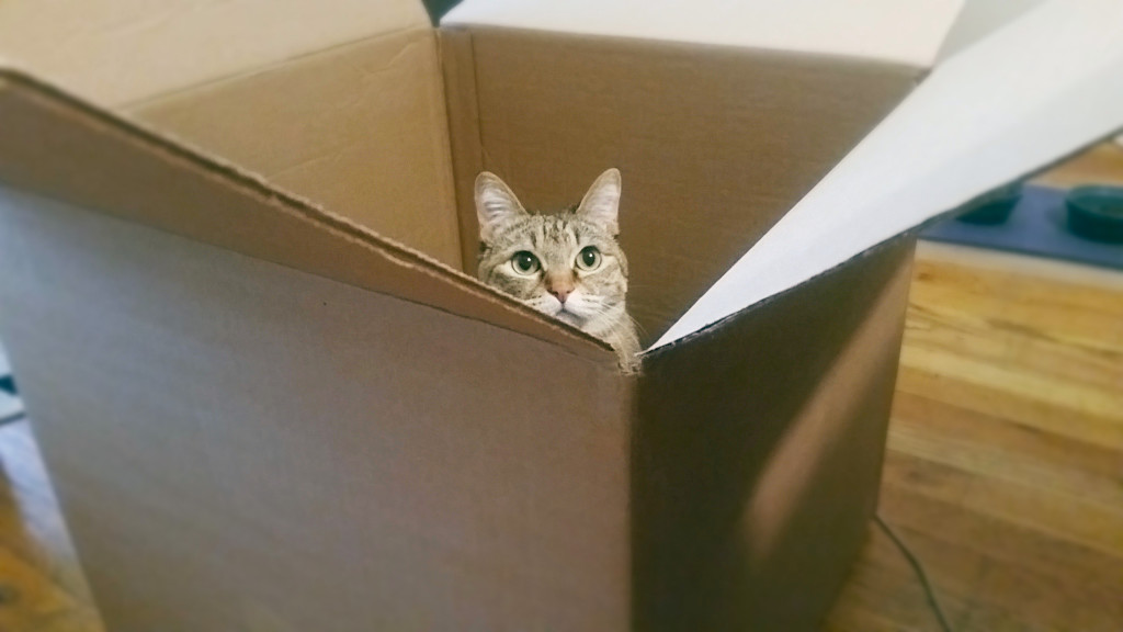 Sita in a box