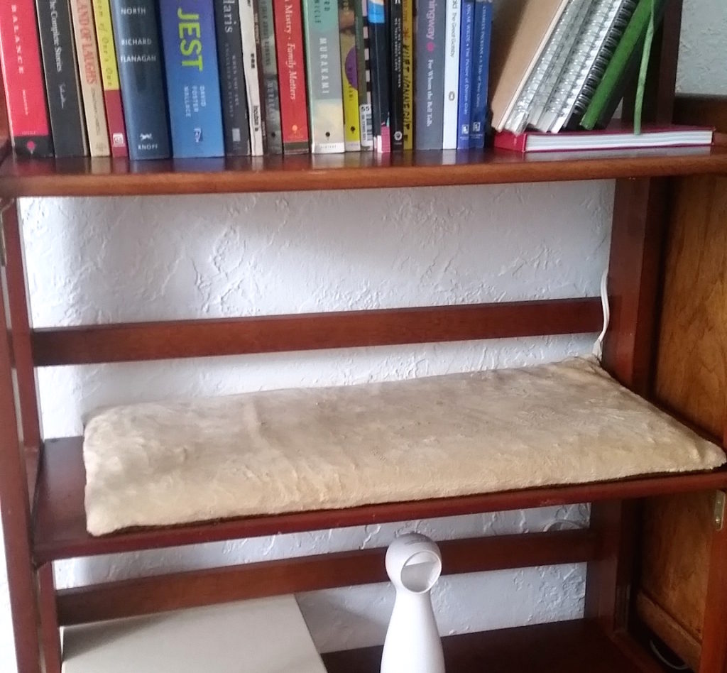 cat bookshelf pad