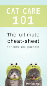 Cat care cheat sheet_Why Cat Why