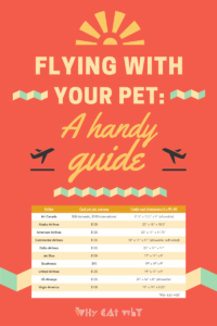 Traveling with a furry companion isn't the easiest thing in the world. But it also doesn't have to be the end of the world. All the logistics of pet-friendly air travel in one easy read. #cats #pets #whycatwhy #travel