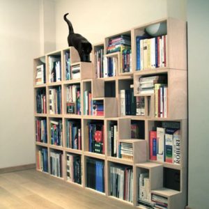 cat on a bookshelf