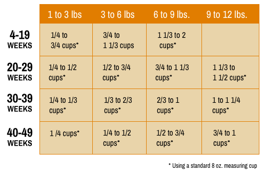 Kitten Feeding Chart Food