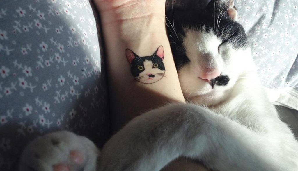 adoring cat and tattoo