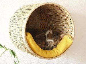 cat wall basket bed