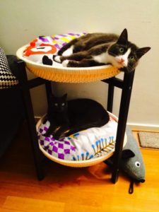 ikea trendig tray table cat hack