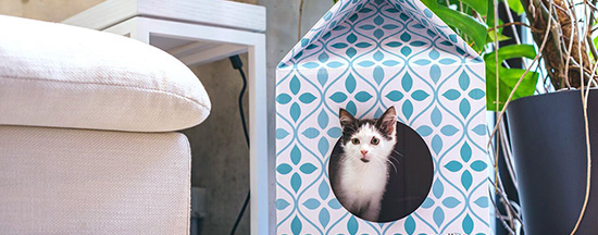 cardboard patterned cat house