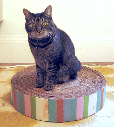 diy cat scratcher lounge