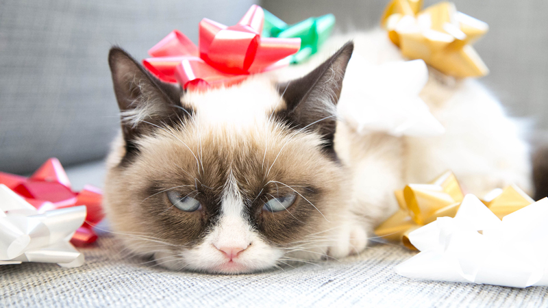 holiday-grumpy-cat