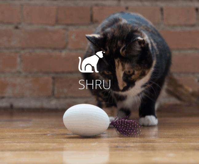 Shru cat discount