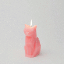 The Ultimate 2015 Cat Gift Guide