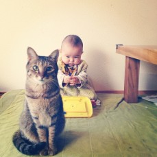 Cute Cat Monday: Toco the Cat and His Baby Humans