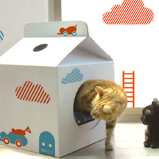 7 Things You Can Make With a Box (That Your Cat Will Go Bonkers For)